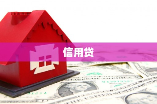 泊头信用贷