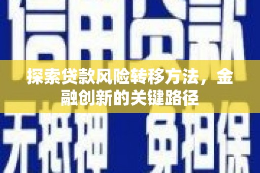 颍上探索贷款风险转移方法，金融创新的关键路径