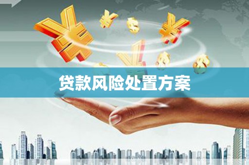 洪梅贷款风险处置方案