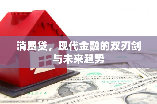 薛城消费贷，现代金融的双刃剑与未来趋势