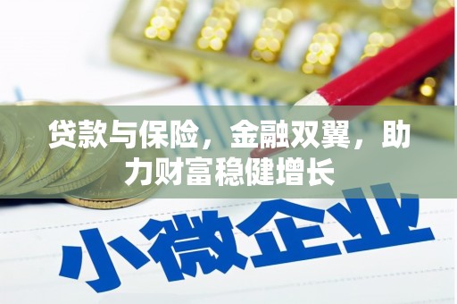 阳春贷款与保险，金融双翼，助力财富稳健增长
