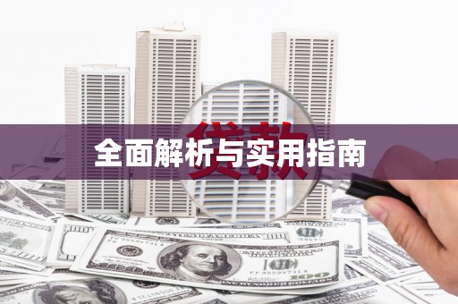平舆全面解析与实用指南