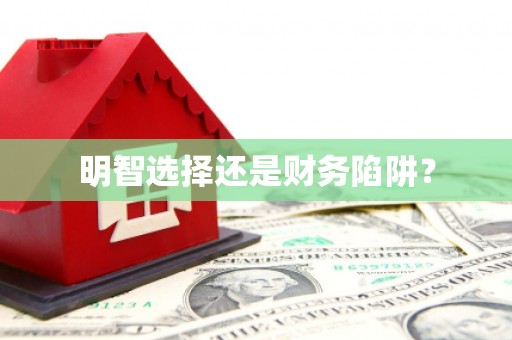 龙沙明智选择还是财务陷阱？