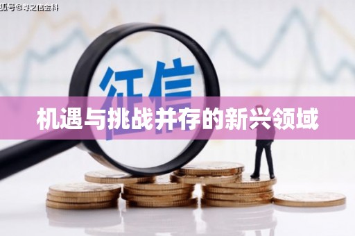 双桥机遇与挑战并存的新兴领域