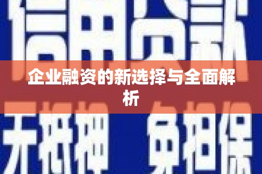 西夏企业融资的新选择与全面解析