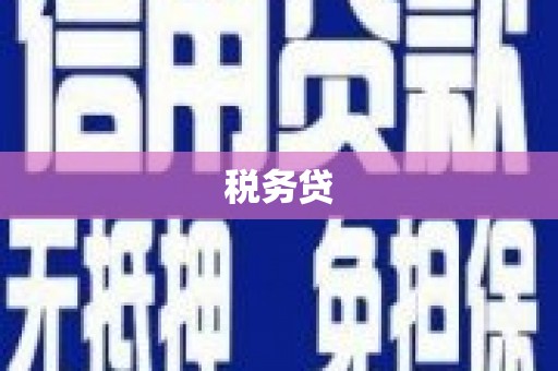 沙坪坝税务贷