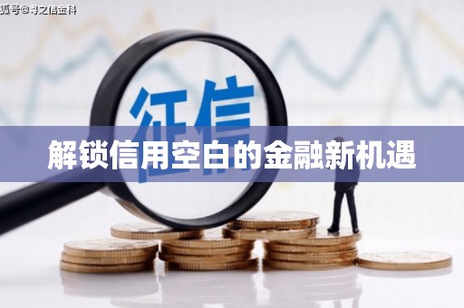 汝南解锁信用空白的金融新机遇