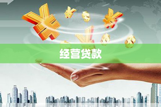 雨山经营贷款