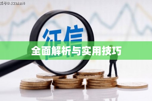 周口全面解析与实用技巧
