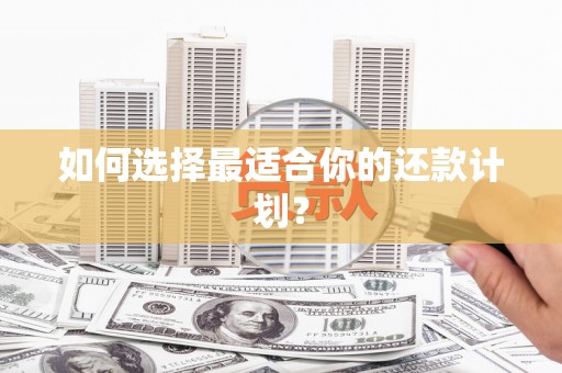 莿桐如何选择最适合你的还款计划？