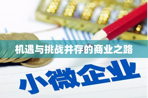 资源机遇与挑战并存的商业之路