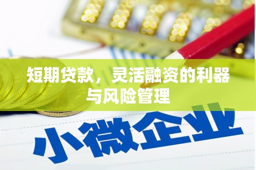 北仑短期贷款，灵活融资的利器与风险管理
