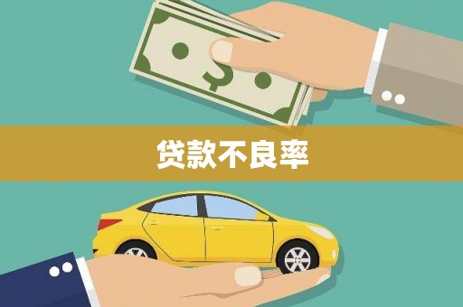 美溪贷款不良率