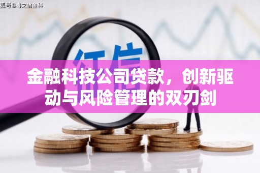 天津金融科技公司贷款，创新驱动与风险管理的双刃剑